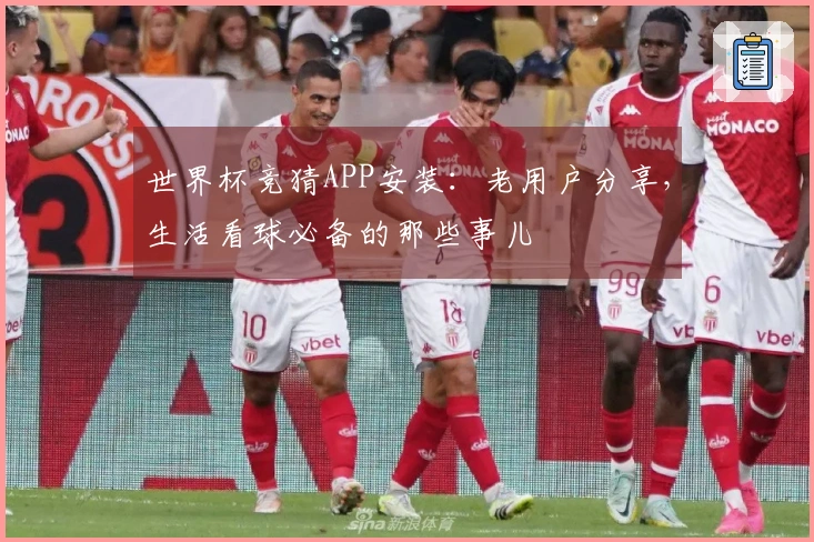 世界杯竞猜APP安装：老用户分享，生活看球必备的那些事儿