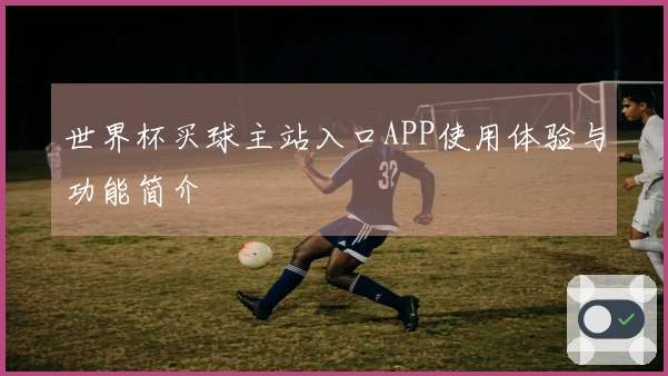 世界杯买球主站入口APP使用体验与功能简介