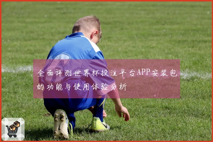 全面评测世界杯投注平台APP安装包的功能与使用体验分析