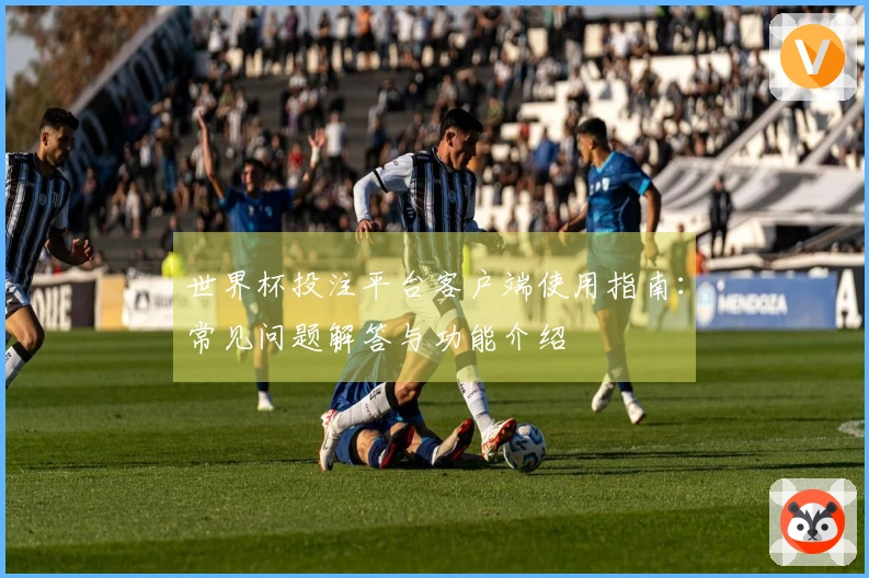 世界杯投注平台客户端使用指南：常见问题解答与功能介绍
