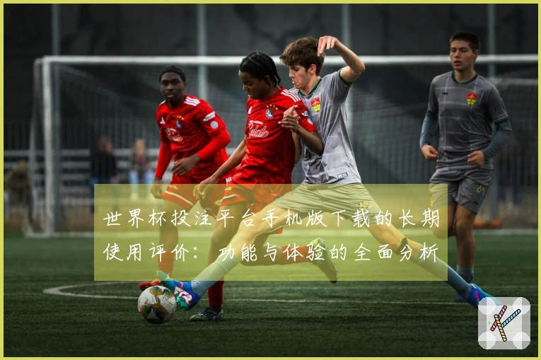世界杯投注平台手机版下载的长期使用评价：功能与体验的全面分析