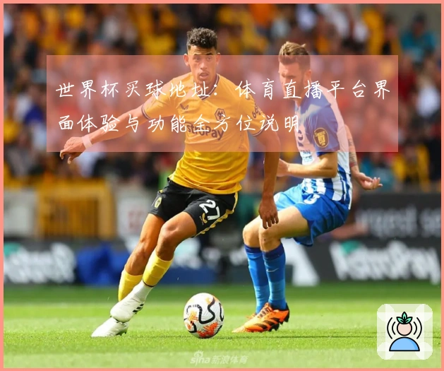世界杯买球地址：体育直播平台界面体验与功能全方位说明