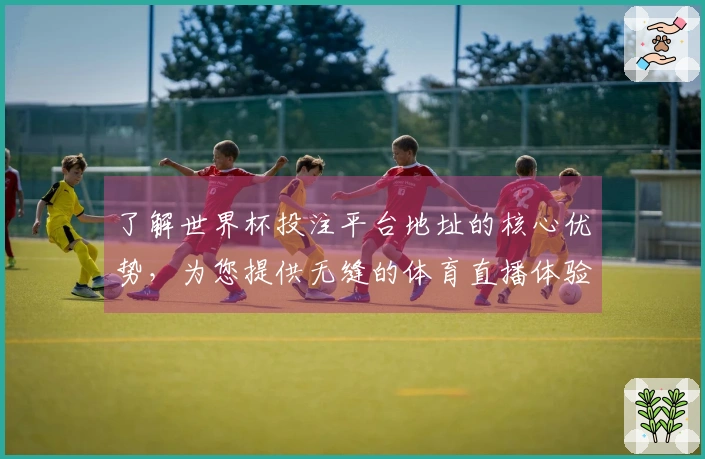 了解世界杯投注平台地址的核心优势，为您提供无缝的体育直播体验