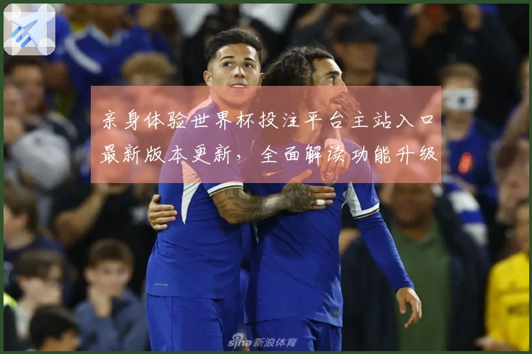 亲身体验世界杯投注平台主站入口最新版本更新，全面解读功能升级与使用技巧