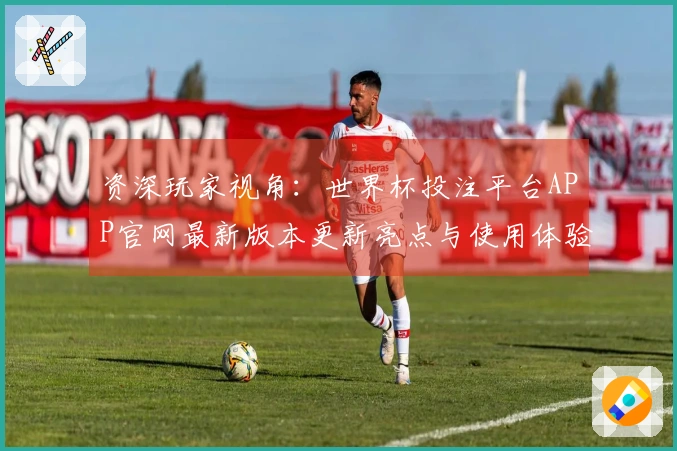 资深玩家视角：世界杯投注平台APP官网最新版本更新亮点与使用体验全面分享