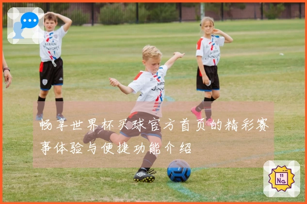 畅享世界杯买球官方首页的精彩赛事体验与便捷功能介绍